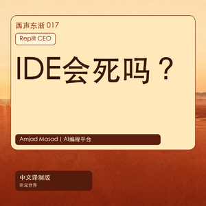 Replit CEO:AI编程会取代IDE、重写SaaS吗|中文译制版