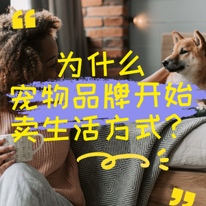 为什么宠物品牌开始卖生活方式？