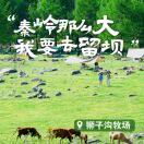 刘十三_ZkE5