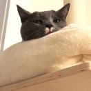 Yiran_hhSp