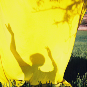 015.敏感是天赋，别把它活成了拧巴。