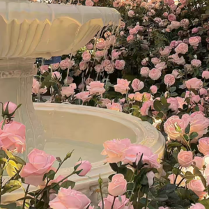 VOL292.“反脆弱性”：我们应该学会从不确定性中挖掘宝藏，做生活的强者。