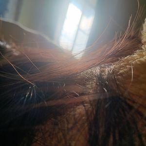 podcaster-avatar