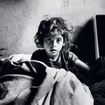 悬鱼与惹草soren