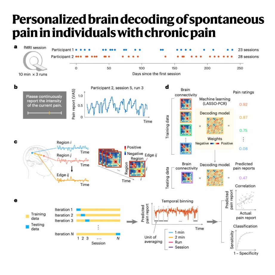 870-Personalized Brain Decoding of Spontaneous Chronic Pain episode artwork