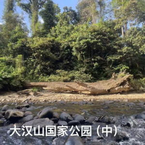 06-马来西亚｜大汉山国家公园（中）