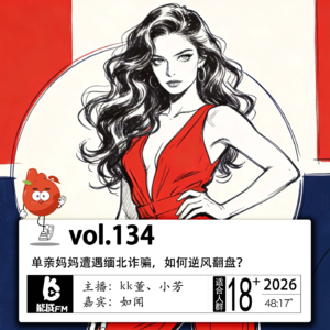 134.单亲妈妈遭遇缅北诈骗，如何逆风翻盘？