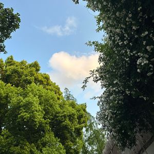 No.141 - 串台｜fit4life：有些人生重大改变，不在一夜之间，而在日积月累