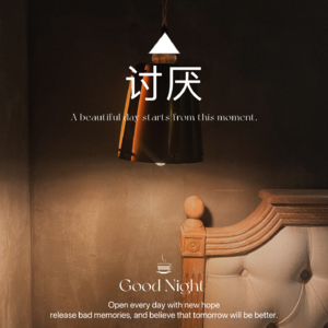 你讨厌我，与我无关