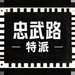 人物专访：峰哥亡命天涯-解构一切的精神