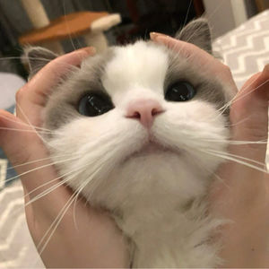 《明朝那些事儿》当年明月的三个访谈记录