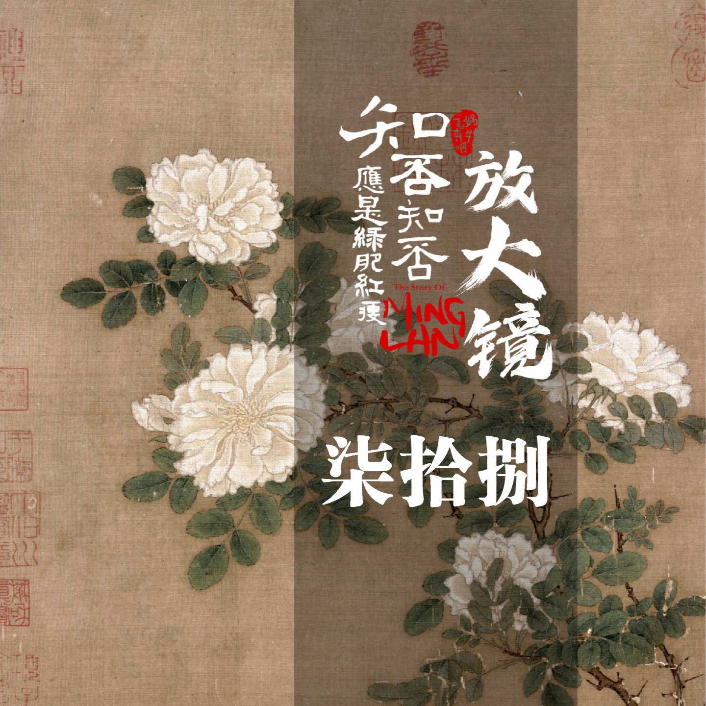 知否放大镜 78：如何成为大娘子 episode artwork