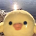 放青松QAQ
