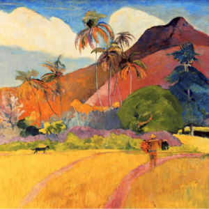 第42期【航海趣闻】：坐在高更画过的大溪地海边，我终于理解了他｜南太平洋往事1