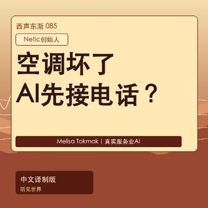 空调坏了,AI先接电话:传统服务业会被重做吗?|中文译制版