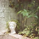 毛栗栗栗栗栗子