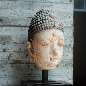 ep10.当我们在算命的时候，我们在算什么？