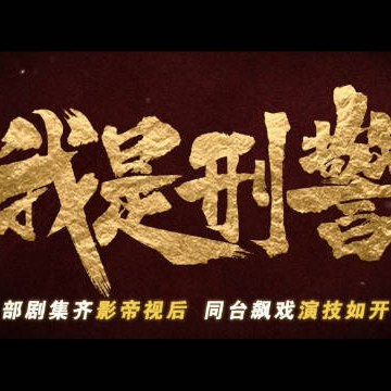 吐槽｜《我是刑警》槽点12345 episode artwork