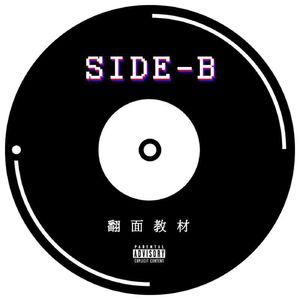 SIDE-B 11| 小红书赘婿神帖博主炸号，原来我们都是云吃吃