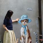 诺音o0