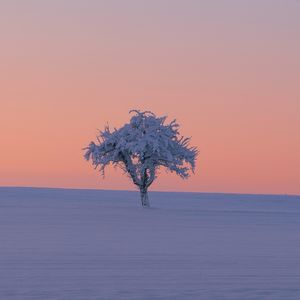 podcaster-avatar