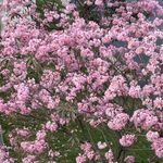 UPUPUP你马甲掉了