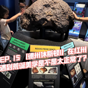 EP. 15 【德州休斯顿I】在红州遇到荒诞美学是不是太正常了？