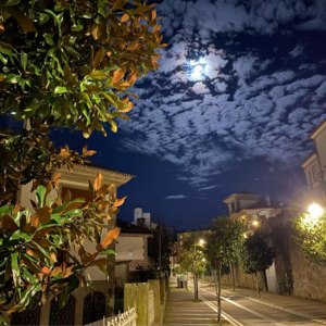 塔罗全套78张牌精解：17星星