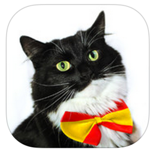 西班牙真的“抵制巴黎奥运”了么