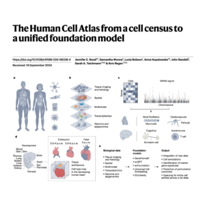 284-The Human Cell Atlas: From Census to Foundation Model