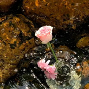 VOL159.侯姐今天连开45单，销冠教你如何做私域。