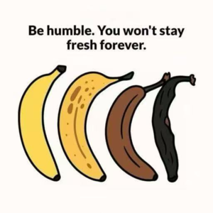 vol.64 出走半生，归来有些显“老”（bushi）