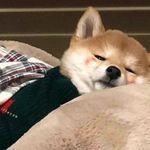 想想就开心