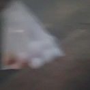 一袋鸡蛋