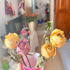 我们要活的快乐才最具性价比!