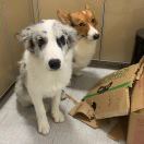 MoonLi