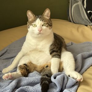 podcaster-avatar