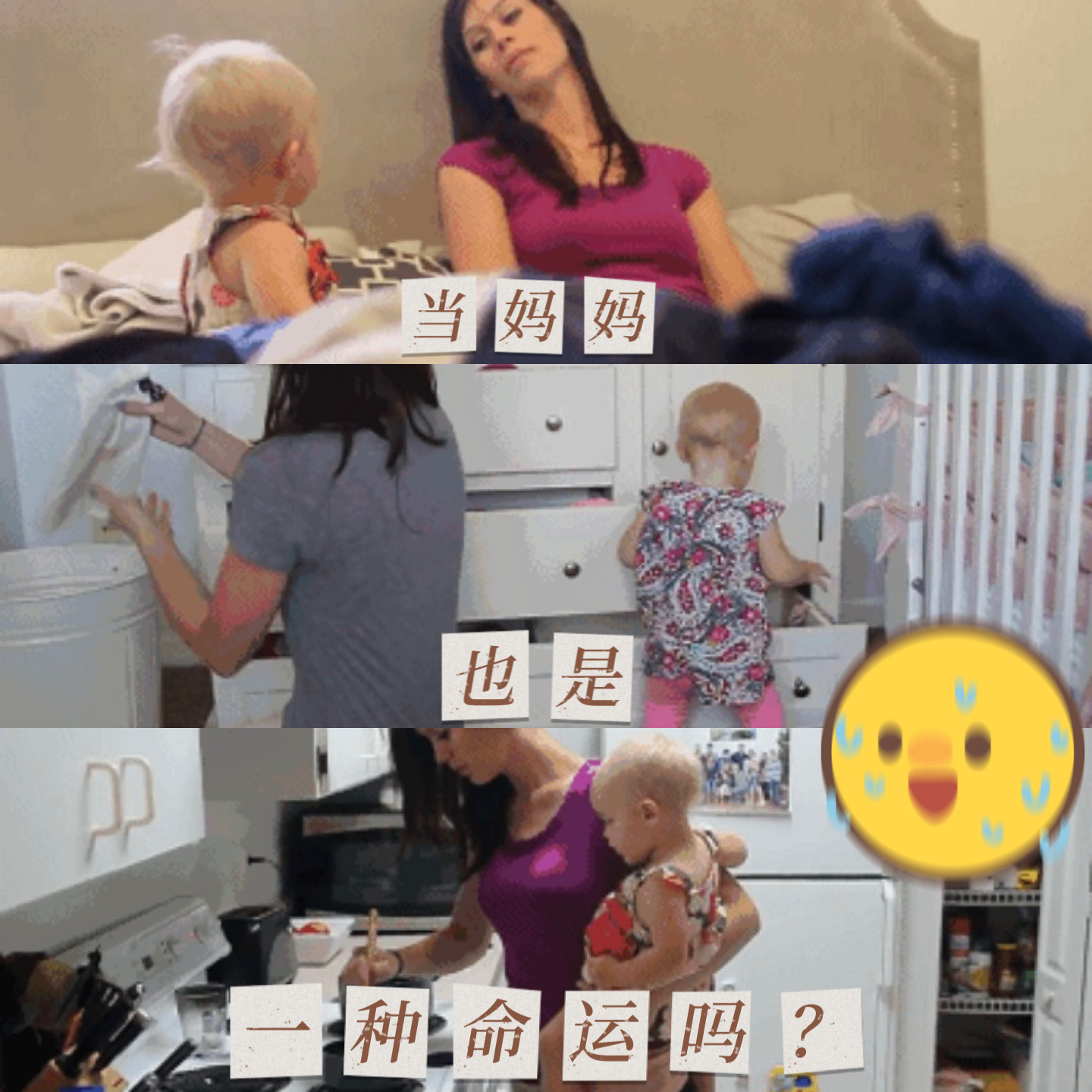 当妈也是一种命？对北京上海普通小学生的幼崽观察报告 episode artwork