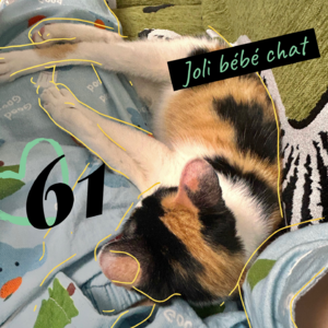 003 我差一点就成为了“大人”