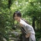 扶桑大大大红花