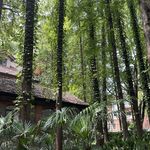 吖吖_6894