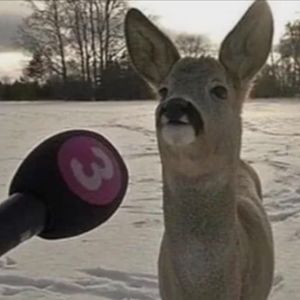 podcaster-avatar