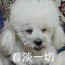 咸鱼鱼鱼鱼