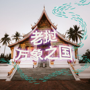 纯人声16mins | 万象之国·老挝｜高质量中文快速深度催眠冥想放松助眠