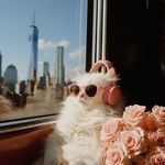 满天都是飞行兔