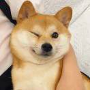 让一下谢谢