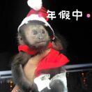 万万一万块