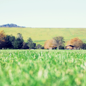 01春天来啦！去摘野菜吧！