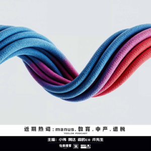 782.近期热词：manus、教育、中产、退税