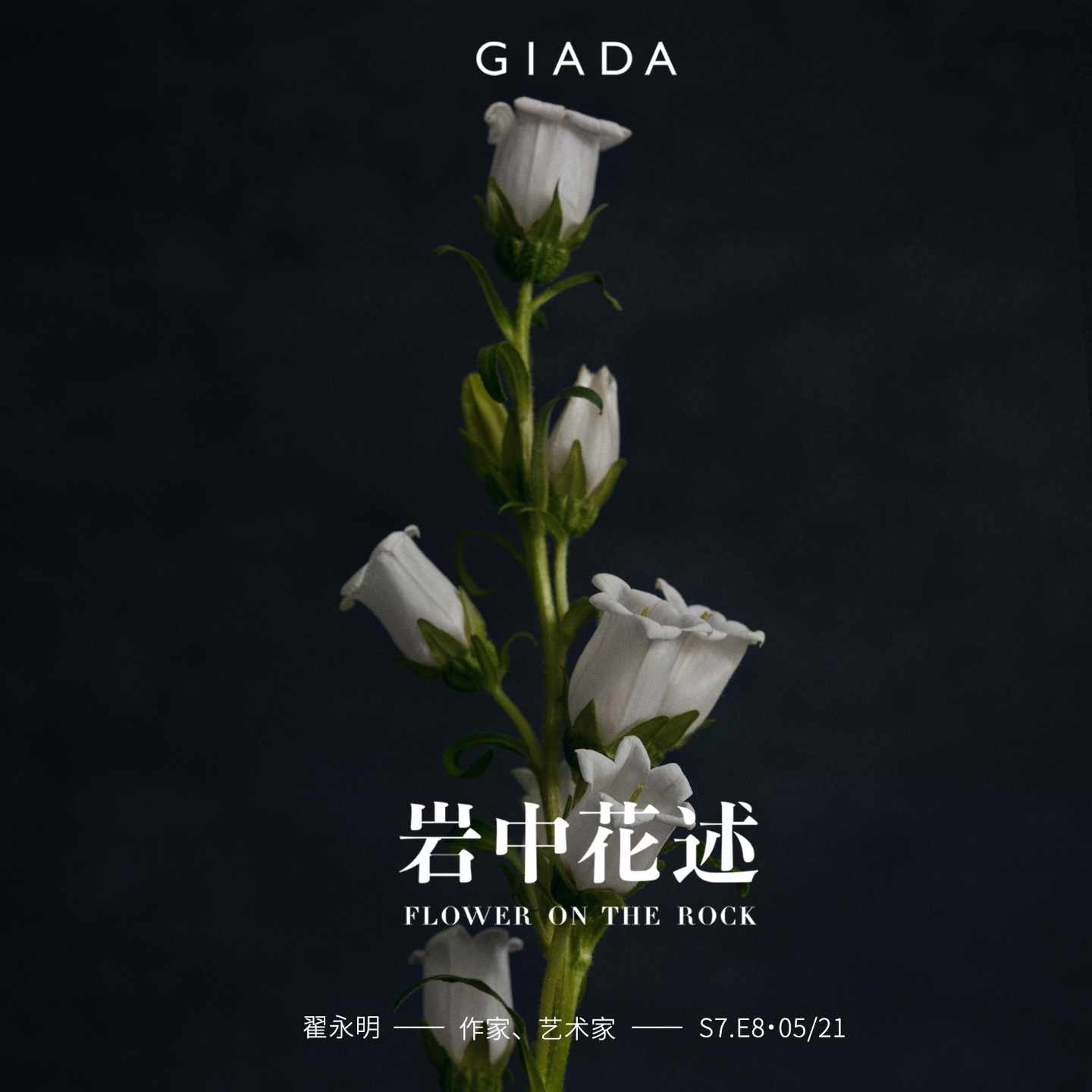 岩中花述